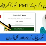 BISP PMT Score Check