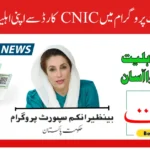 Benazir Kafalat Program Check CNIC