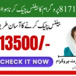 Check BISP 8171 Balance Online