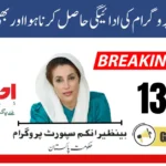 8171 Check Online CNIC Ehsaas Program 13500