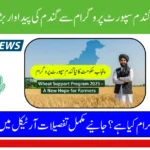 Wheat Support Program