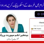 BISP Poverty Score
