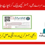 BISP Dynamic Survey 2026