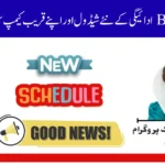 BISP 8171 Payment Dates 2025
