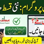 Ehsaas Portal Login