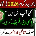 Ehsaas Portal Online Check