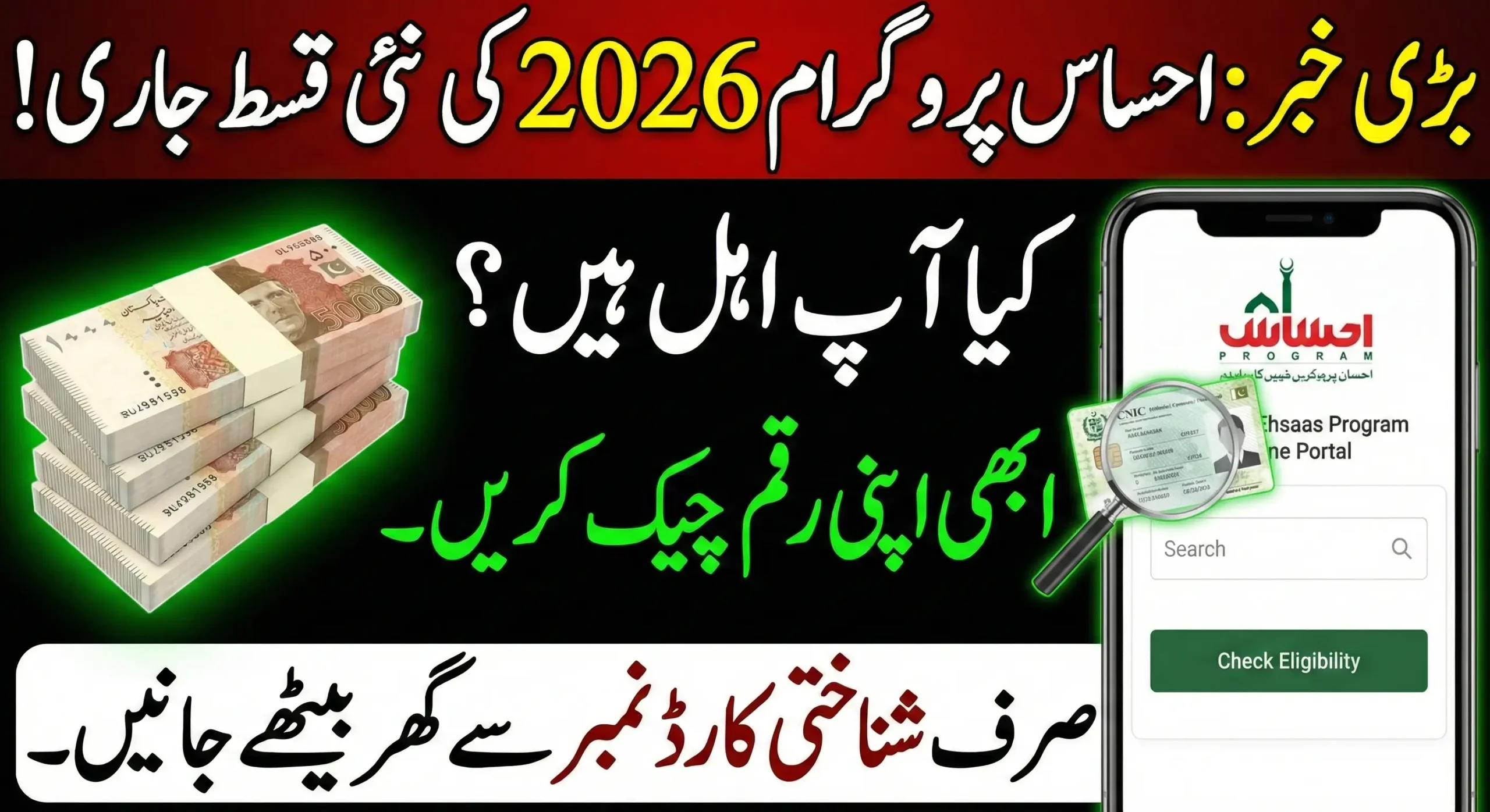 Ehsaas Portal Online Check